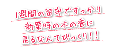 1週間の留守ですっかり新築時の木の香に戻るなんてびっくり！！